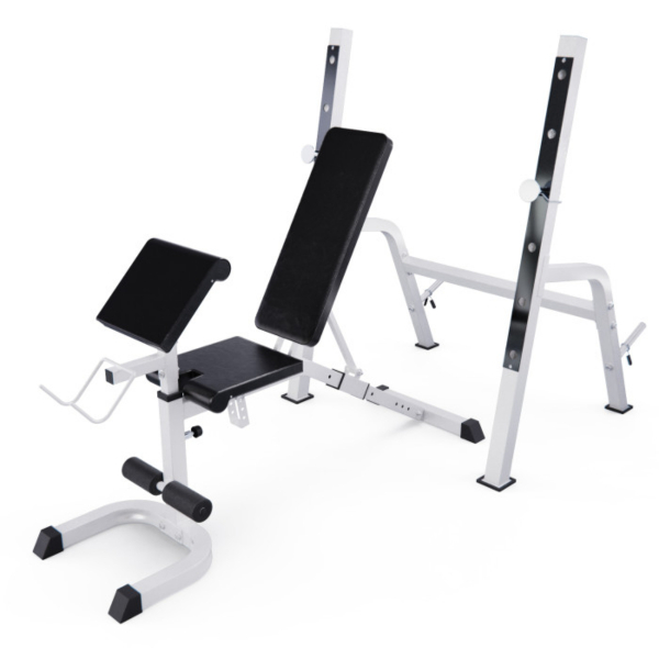 Скамья под штангу DFC GORILLA 201321W (два короба)