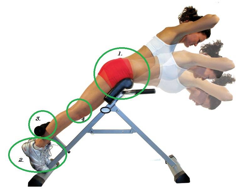 Какие бывают тренажеры для позвоночника и мышц спины?
