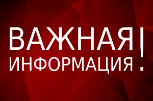 как узнать размер колеса на самокате. vazhnaja inf. как узнать размер колеса на самокате фото. как узнать размер колеса на самокате-vazhnaja inf. картинка как узнать размер колеса на самокате. картинка vazhnaja inf.